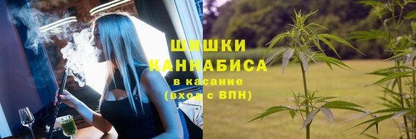 ешки Аркадак
