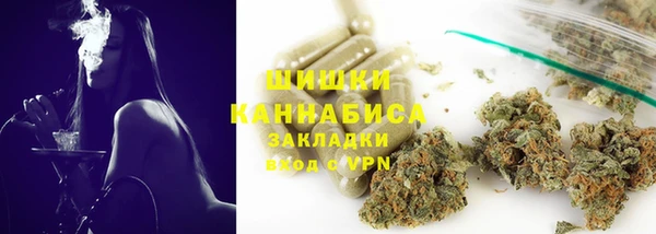 ешки Аркадак