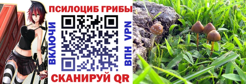 наркошоп  Артёмовский  Галлюциногенные грибы GOLDEN TEACHER 